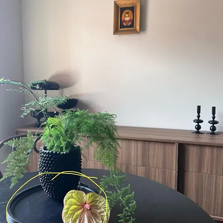 Apartament Entu Odrzanska Wrocław